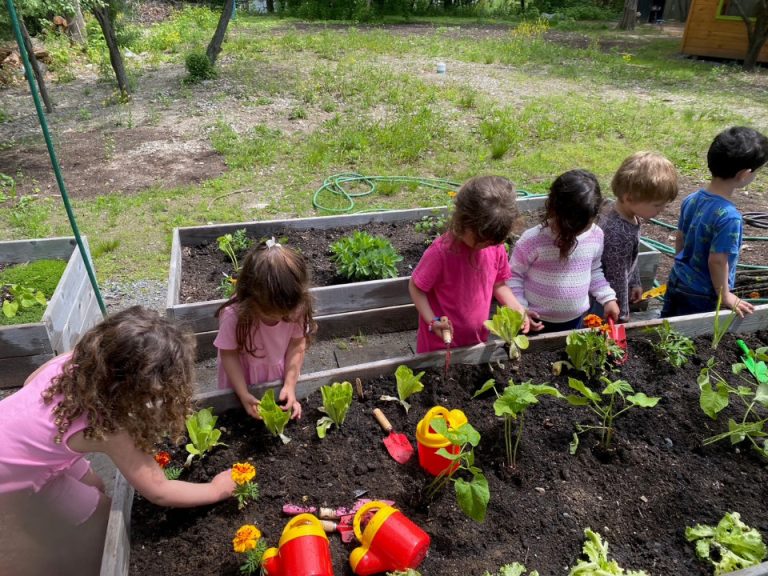 Gan Students Planting Veggies